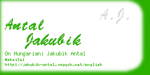 antal jakubik business card